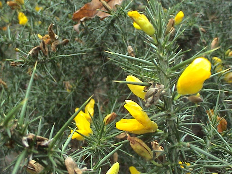 DSC01435