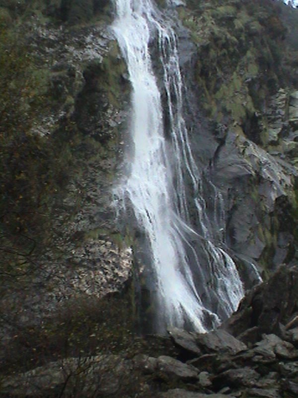 DSC01439