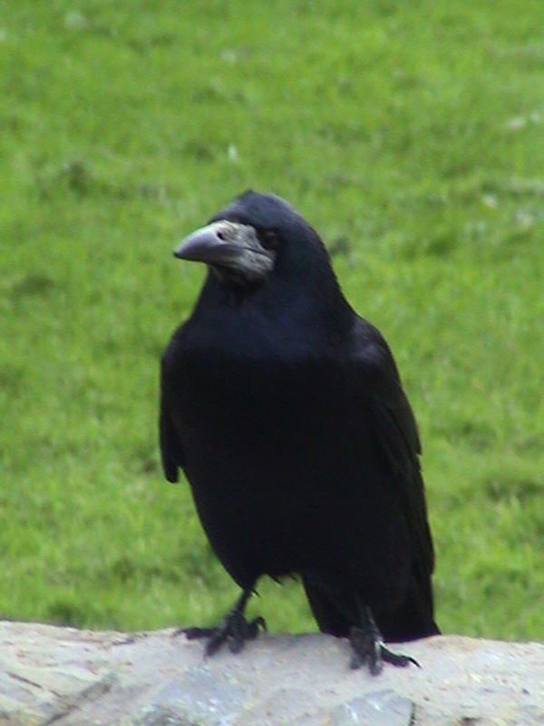 DSC01296
