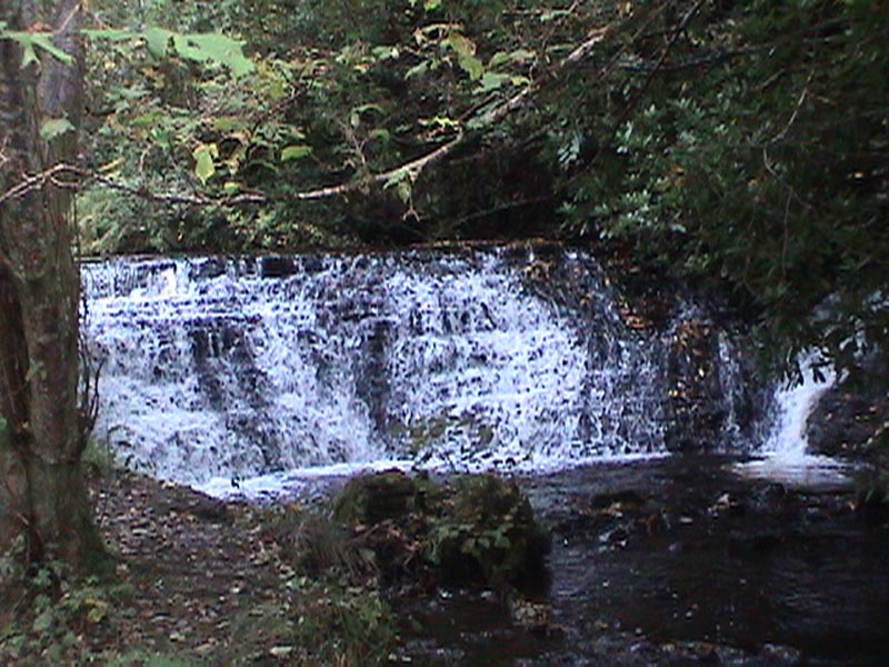 DSC01297