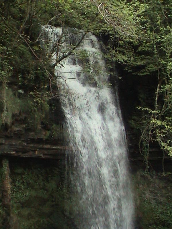 DSC01299