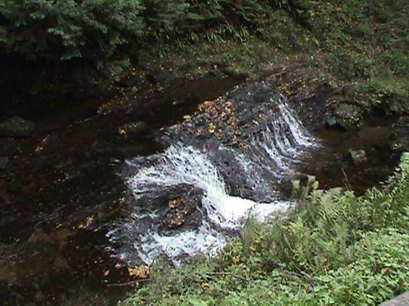 DSC01300