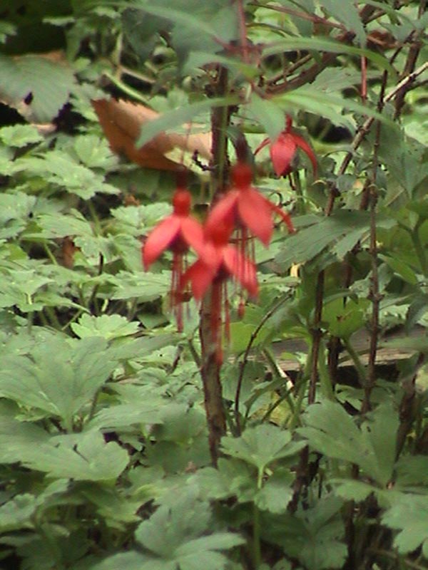 DSC01301