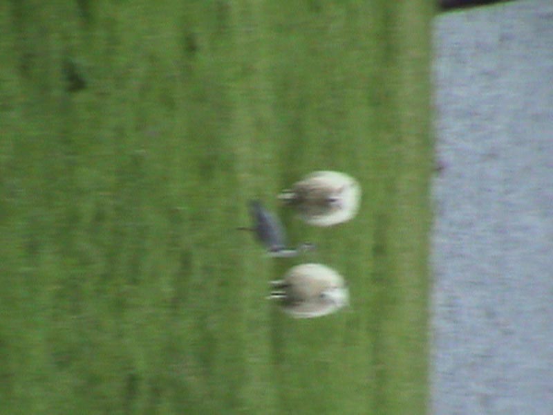 DSC01304