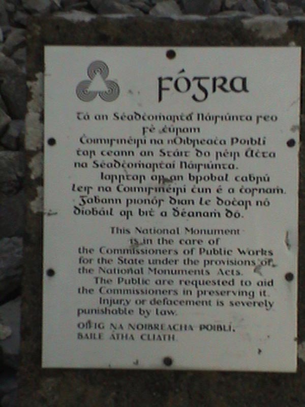 DSC01307