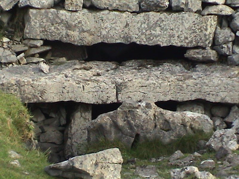DSC01308